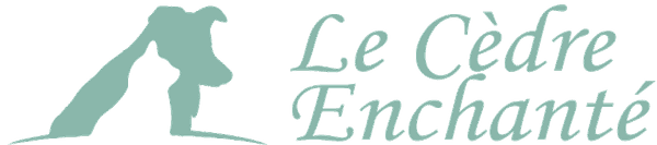 Logo Le Cèdre Enchanté