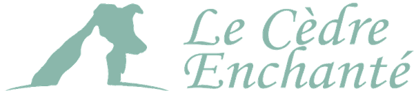 Logo Le Cèdre Enchanté